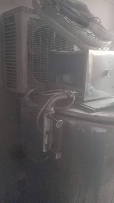 milking machine for sale