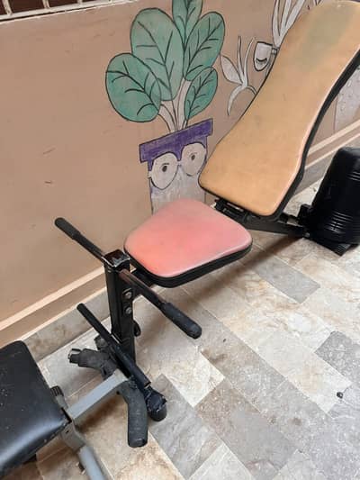 fitness accessories for sale.