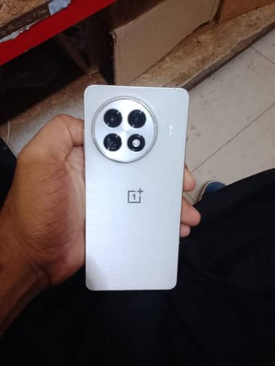 one plus 13 r