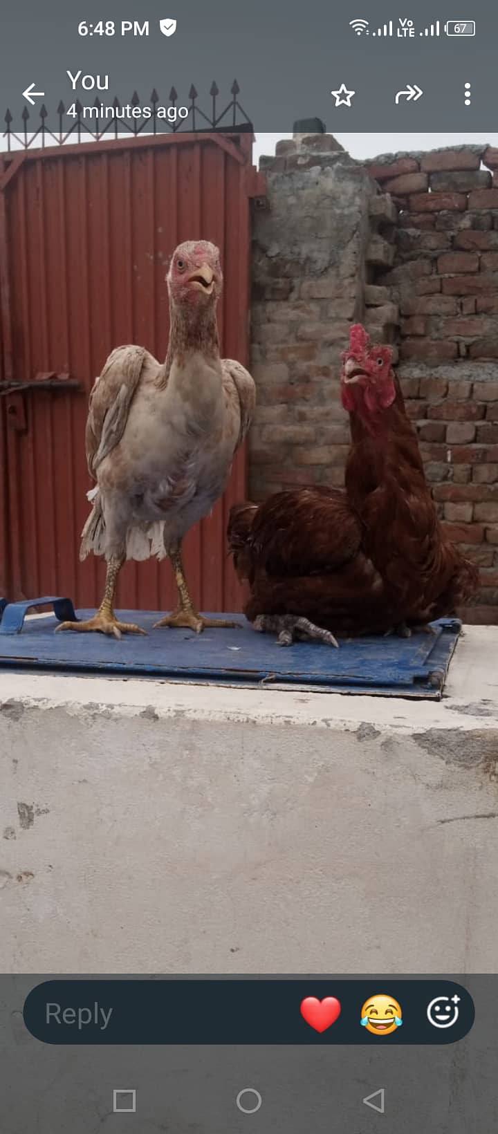Java nasl ka hai 1