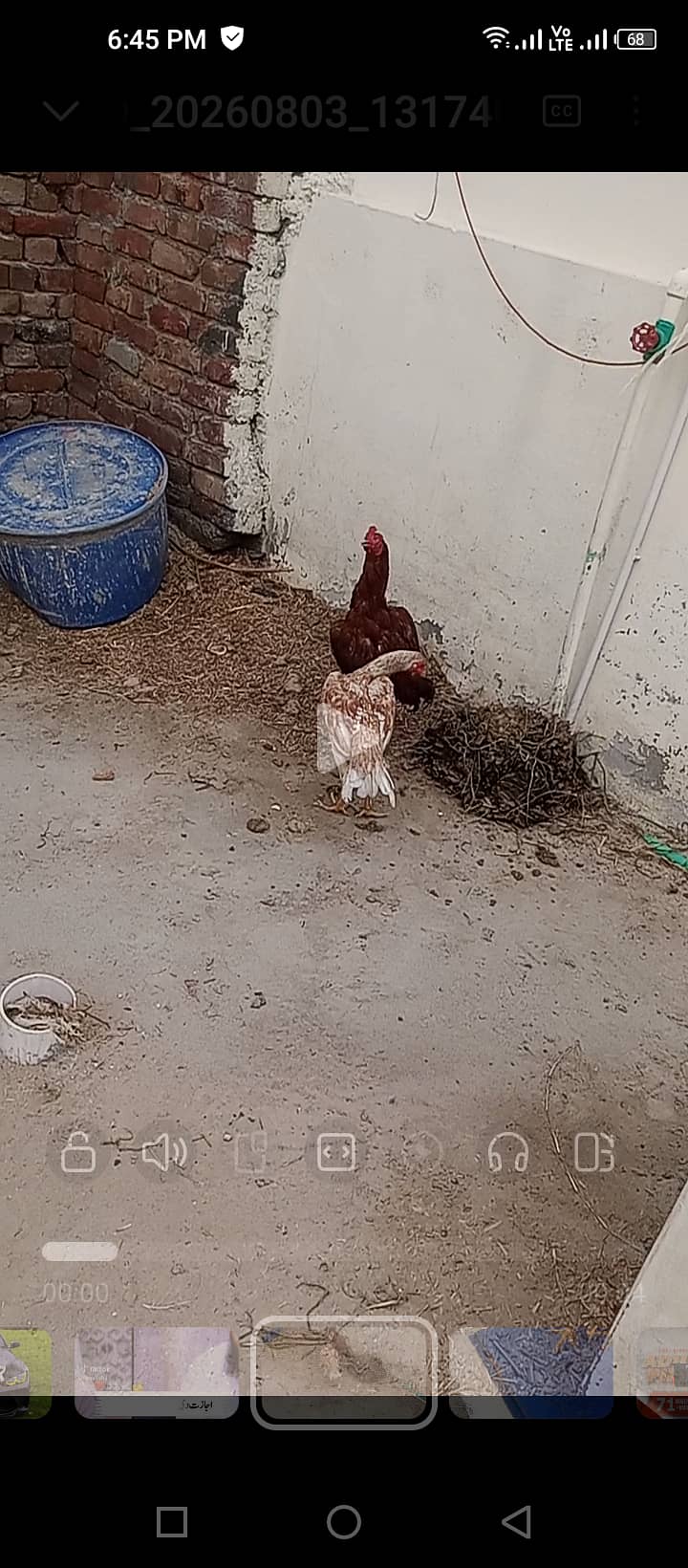 Java nasl ka hai 5