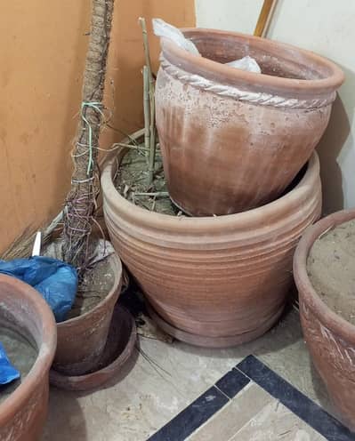 7 Clay Plant Pots for Sale