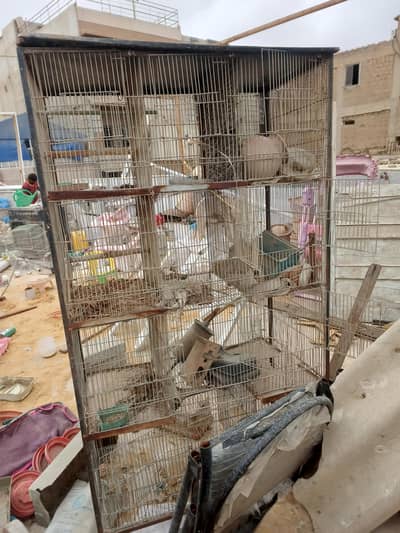 12 portion bird cage