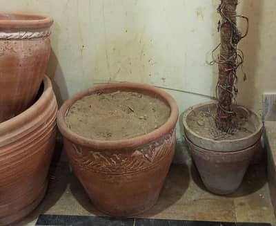 Terracotta Plant Pots Set