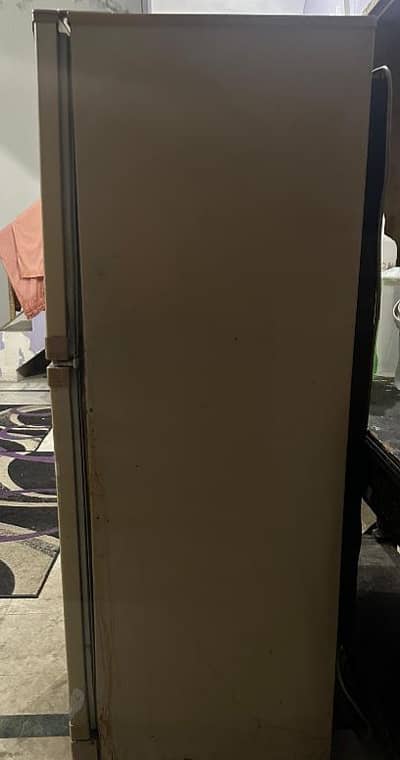 Pel Fridge - Medium Size
