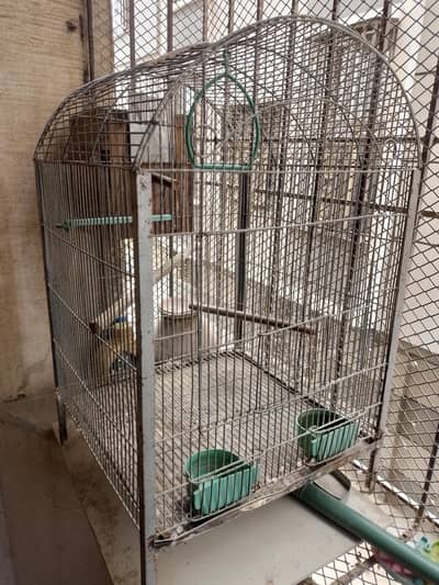 GALVANISED CAGE 03162707784