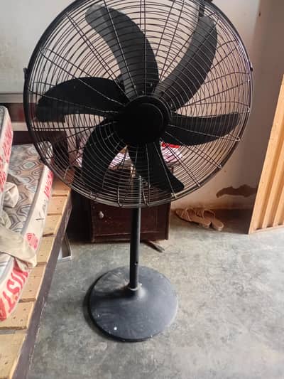 pedistal fan