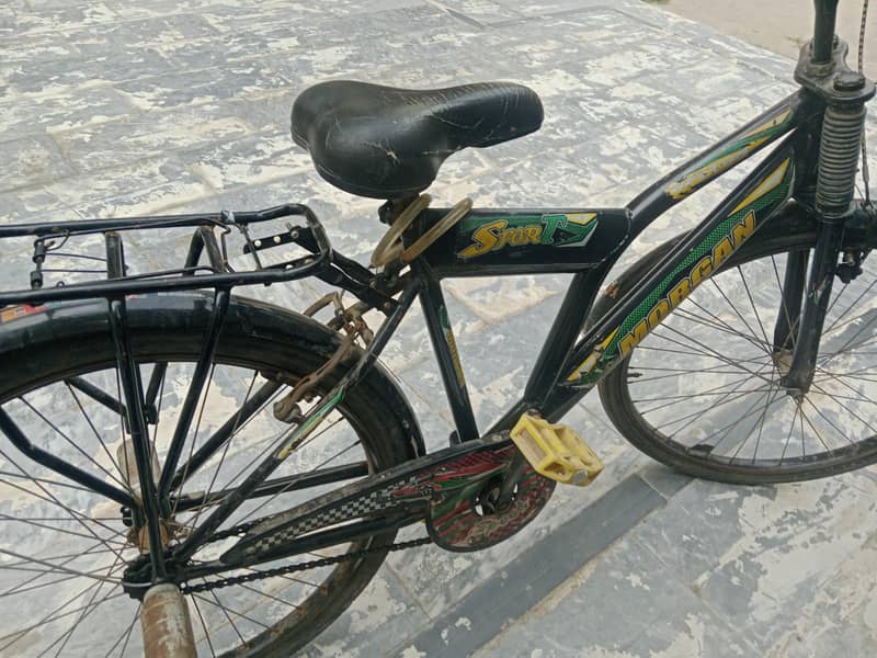 Morgan cycle 3
