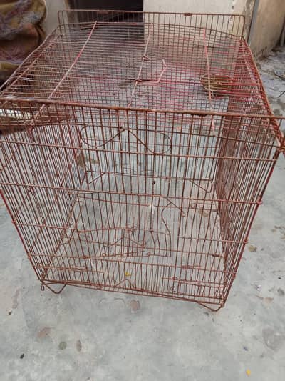 cage for sale