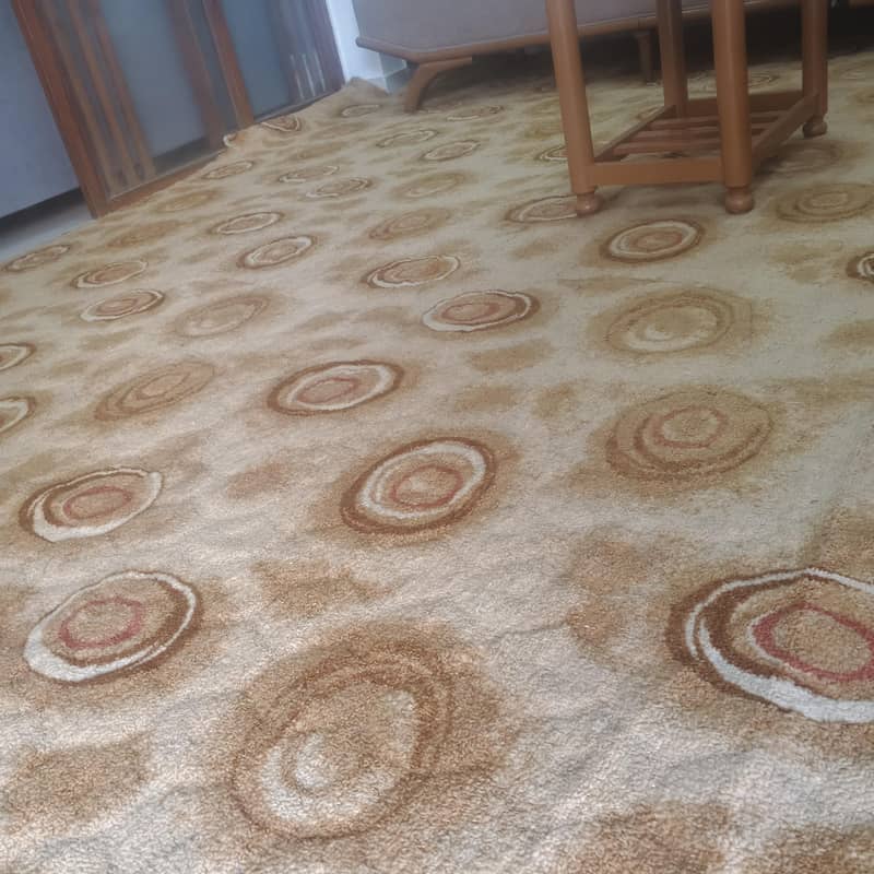 imported carpet 2