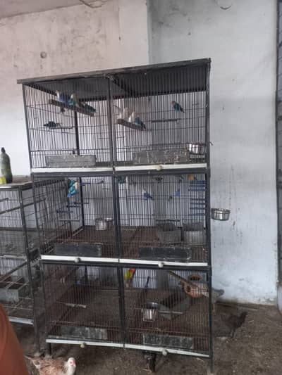Premium Quality Birds Cage for Sale