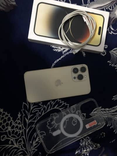 Apple iPhone 14 Pro Max golden