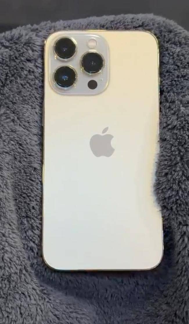 Apple iPhone 13 Pro 1