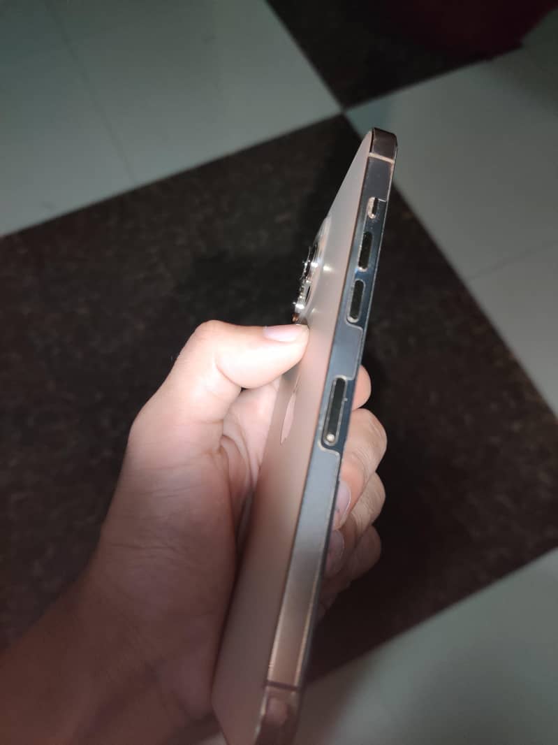 Apple iPhone 12 Pro Max 1