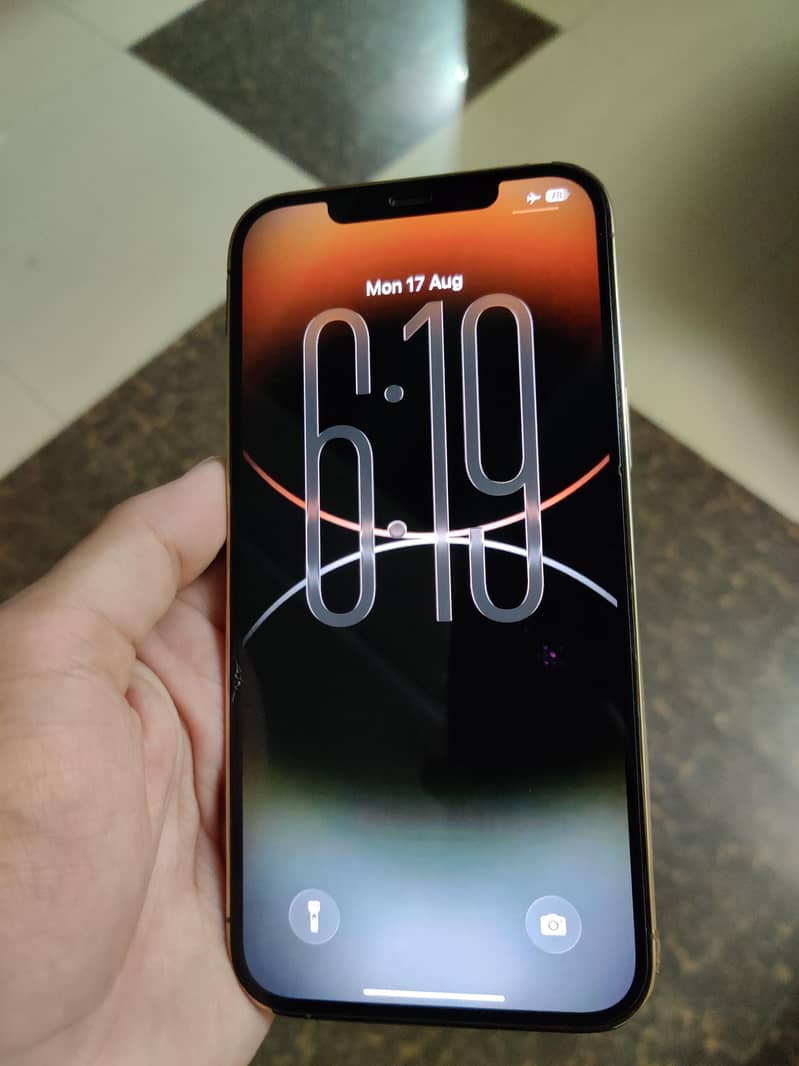 Apple iPhone 12 Pro Max 2