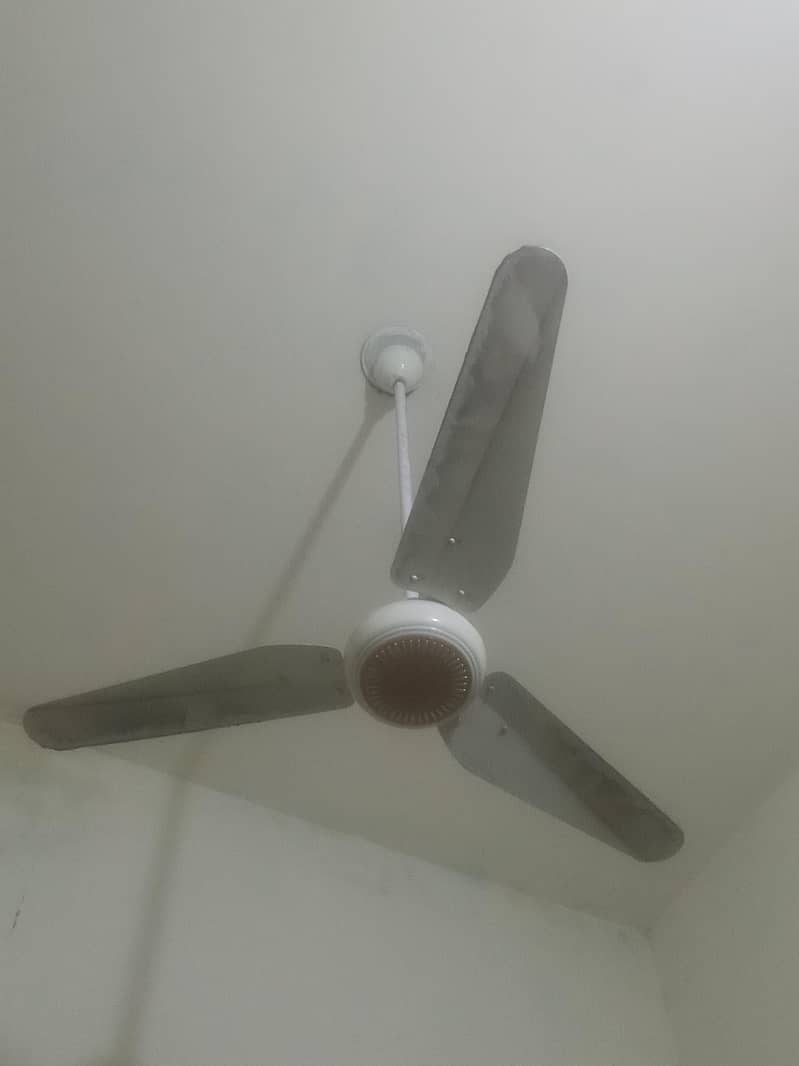 ceiling fans 0