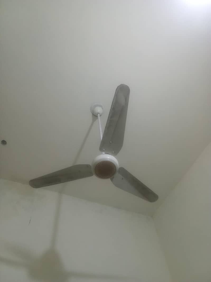 ceiling fans 1