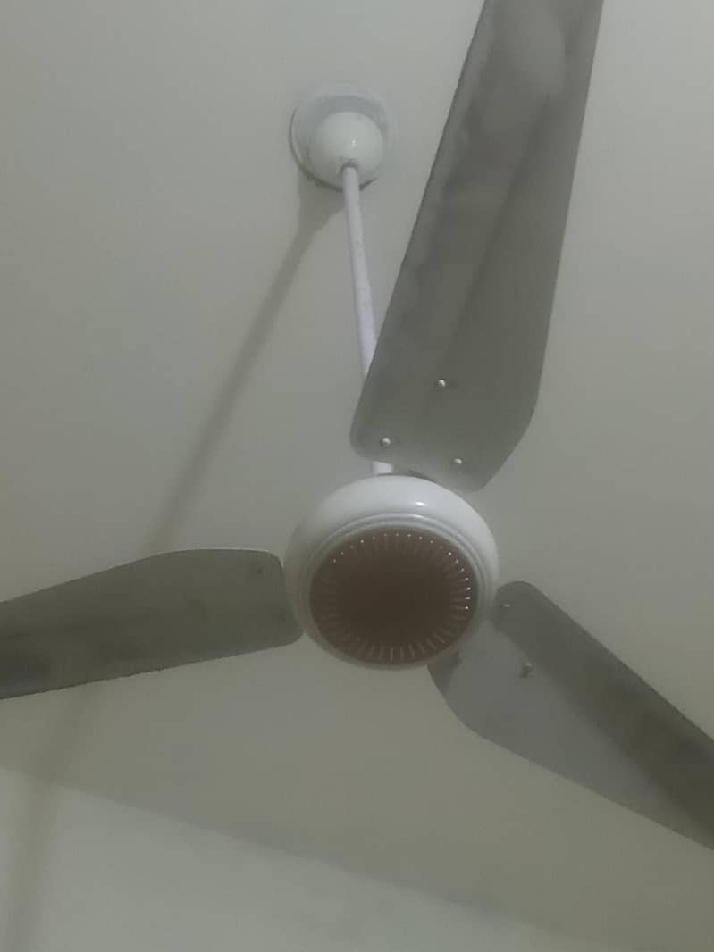 ceiling fans 2
