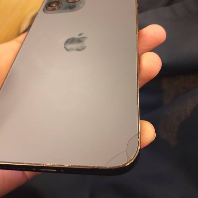 Apple iPhone 12 Pro Max 1