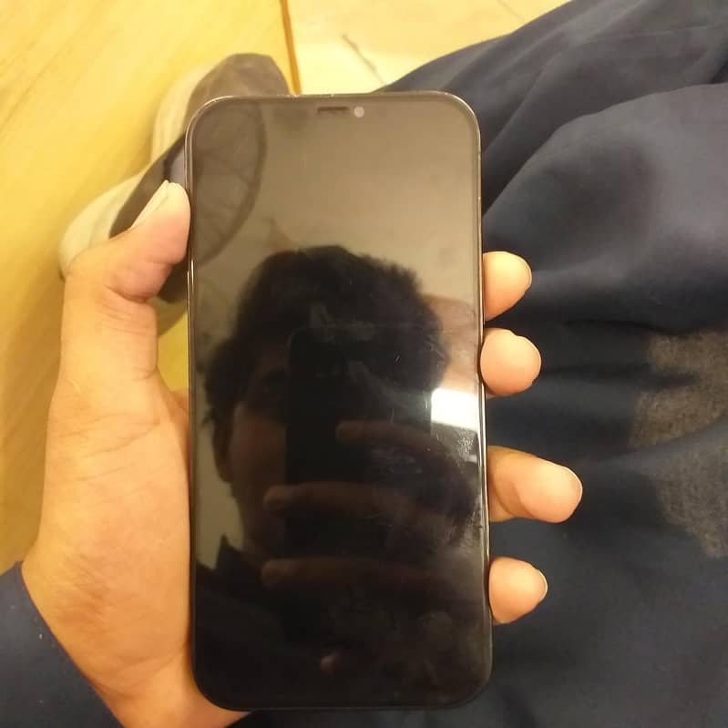 Apple iPhone 12 Pro Max 2