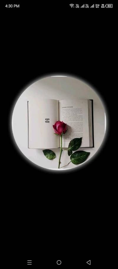 professional Urdu writing services,  essays,  letters, and assignments