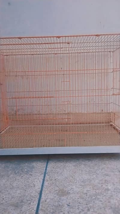 brand new cage size 4 by 2 for sale