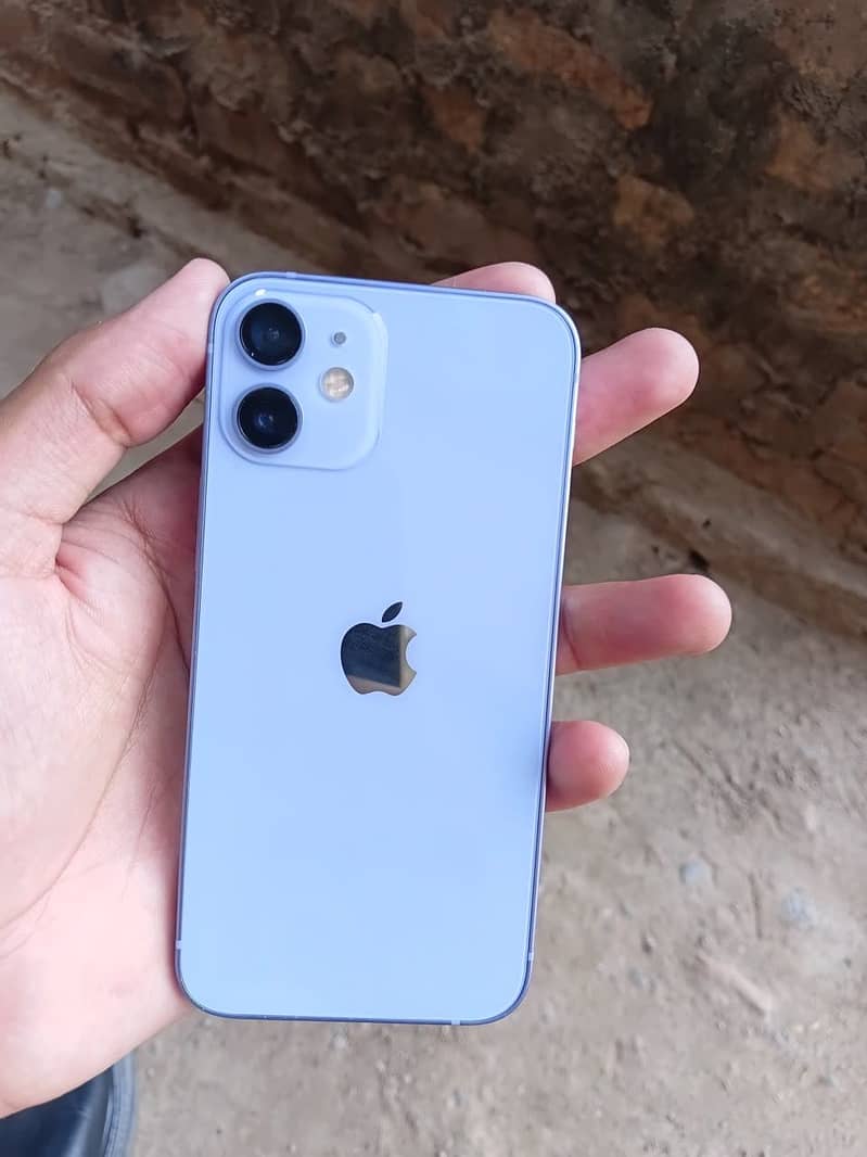 iPhone 12 mini 6