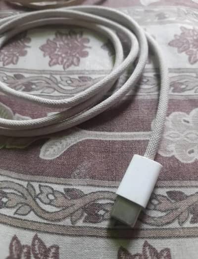 Apple Original C to C charging wire