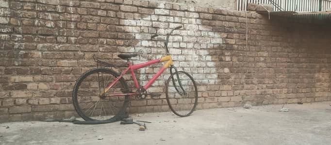 26 Inch Bari Cycle
