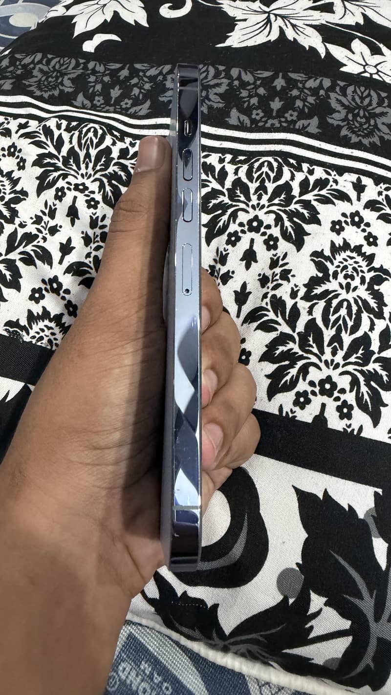 Apple iPhone 13 Pro Max 11