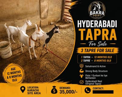 hydrabadi tapra