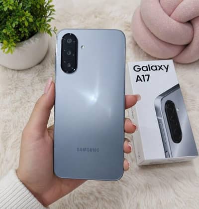 A17 8 256 price fix hai