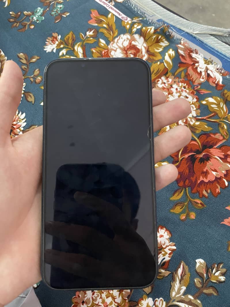 Apple iPhone 13 0