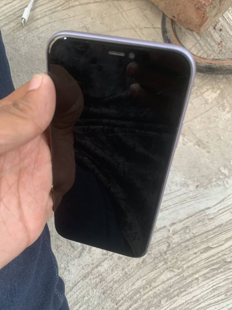 Apple iPhone 11 0