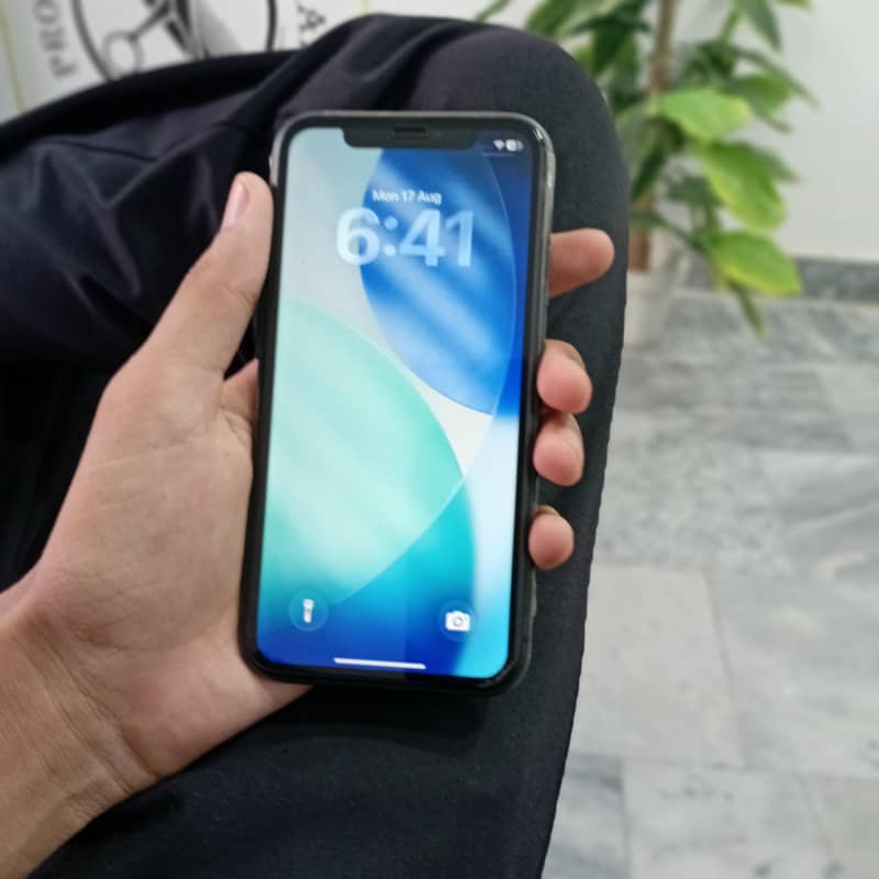 Apple iPhone 11 0