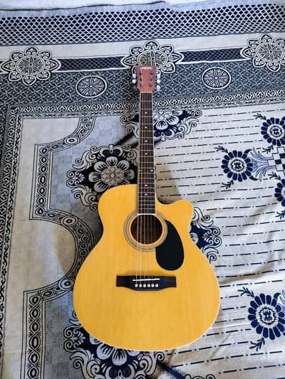 Caravan Semi acoustic guitar
