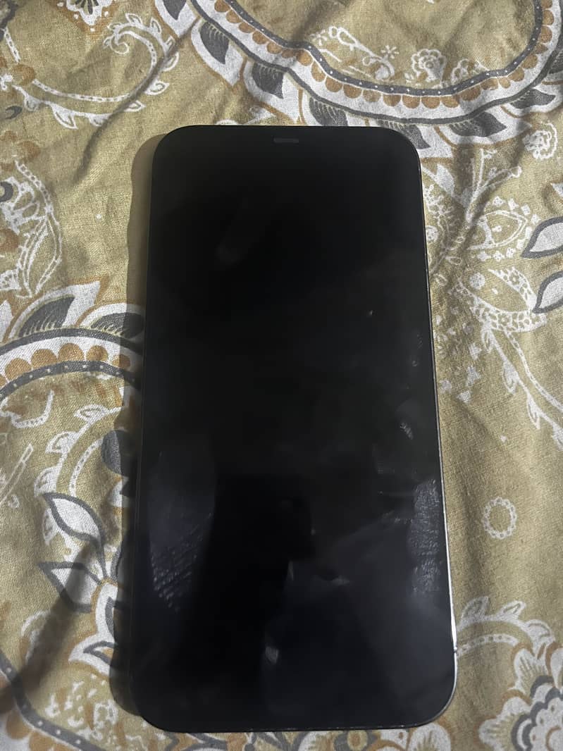 Apple iPhone 12 Pro Max 0