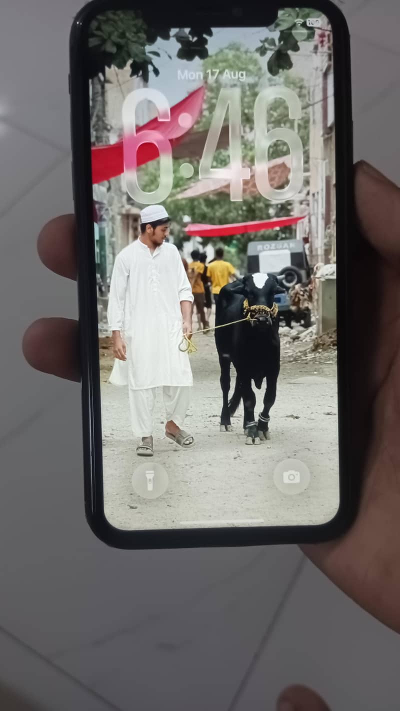 Apple iPhone 11 jv 4