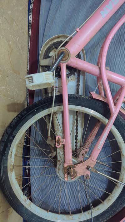 Morgan Cycle