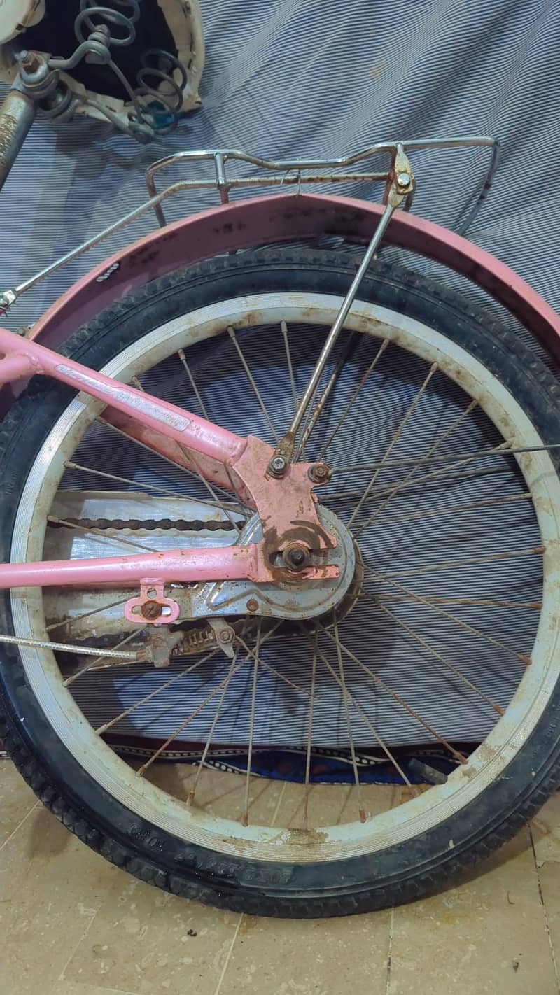 Morgan Cycle 3
