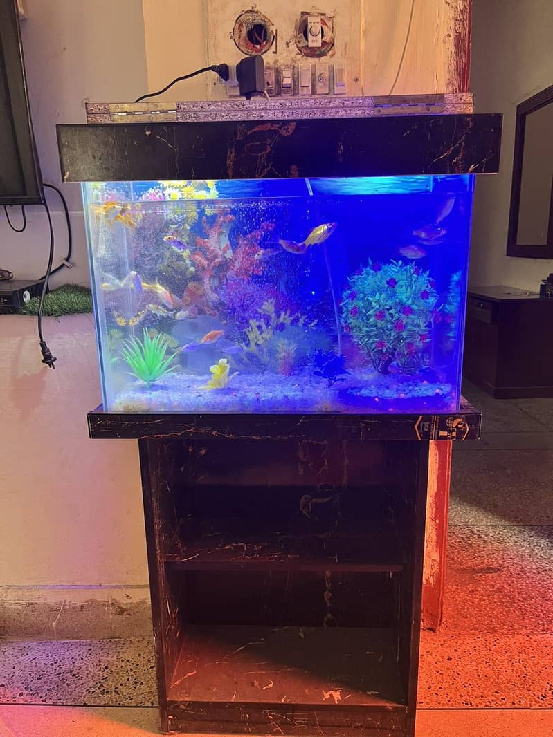 Aquarium 0