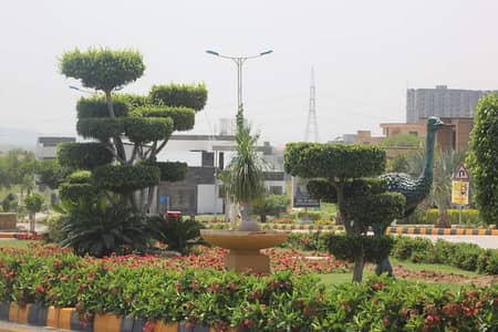 Commercial plot /G-Block/Main Markaz/G-block/B-17