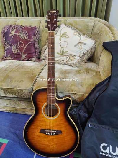 Levinland LWW-5004C BS Guitar