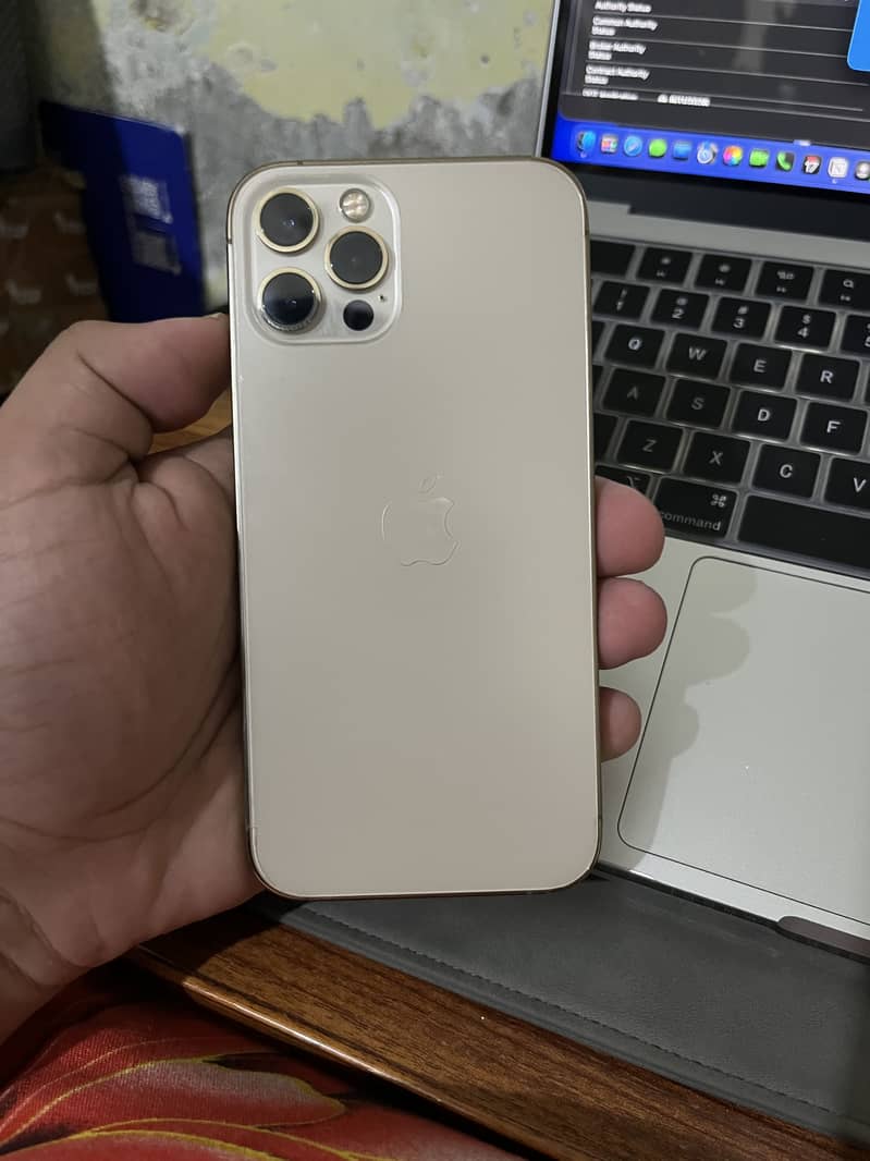 Apple iPhone 12 Pro 1
