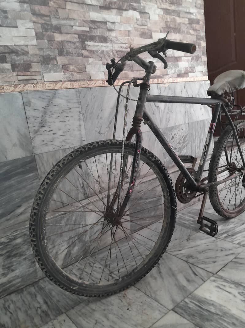 bicycle 1