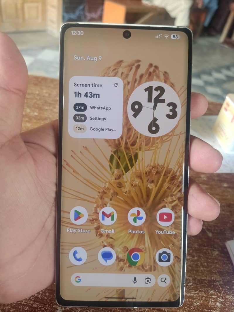 Google Pixel 6 Pro 2