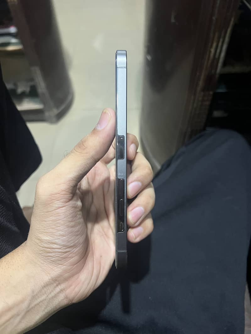 12 pro max 1