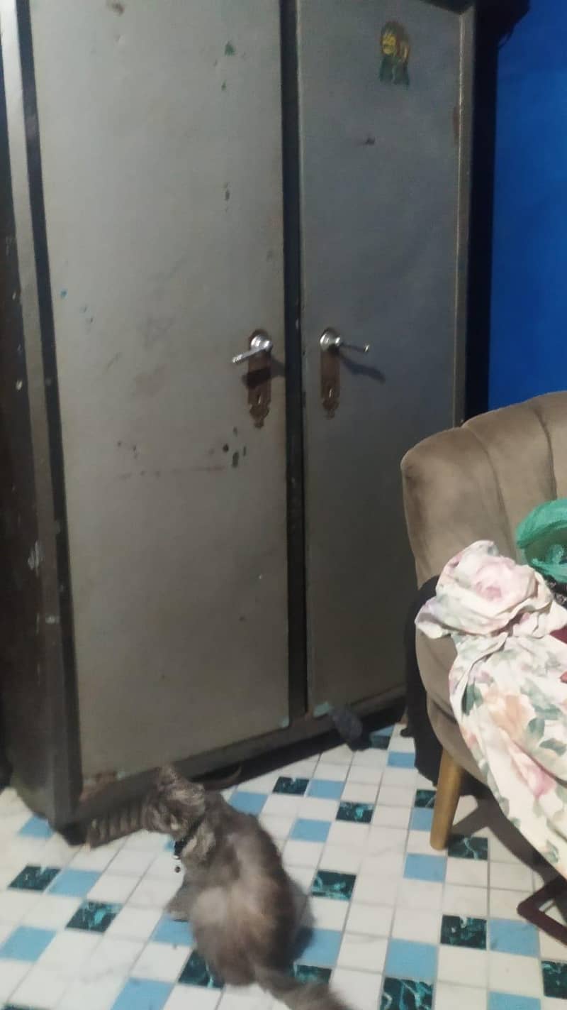2 door wardrobe 1