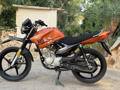 YAMAHA YBR G 03313939676