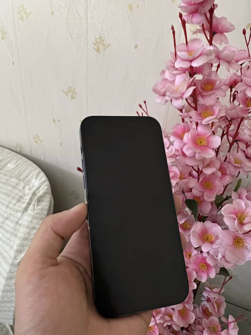 Apple iPhone 14 Pro Max 1